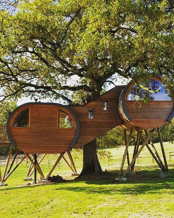 The Most Interesting Tiny Houses