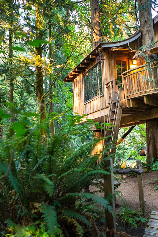 The Most Interesting Tree House Design
