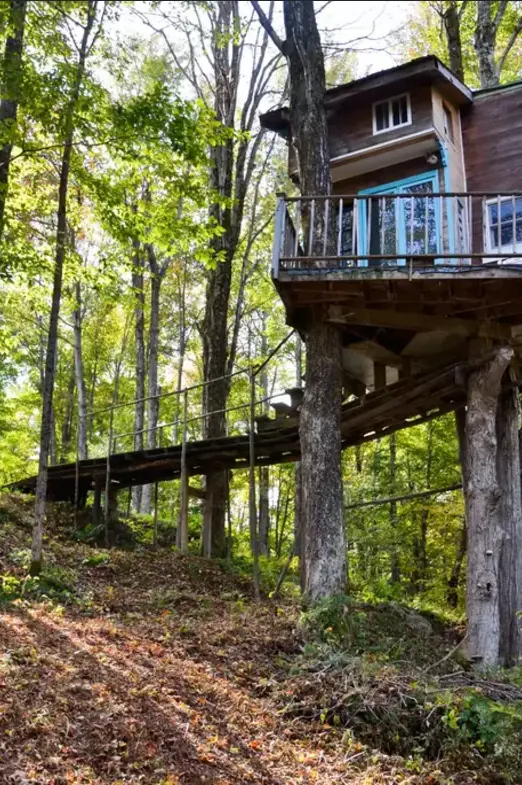 The Most Interesting Tree House Design